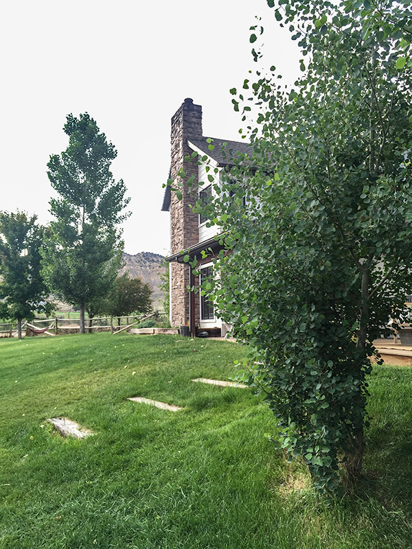 This farmhouse outdoor garden tour is amazing. So much eye candy. This farmhouse outdoor garden tour is amazing. So much eye candy.