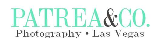 a01f778f-d095-4a51-932c-520b7d0ba09d