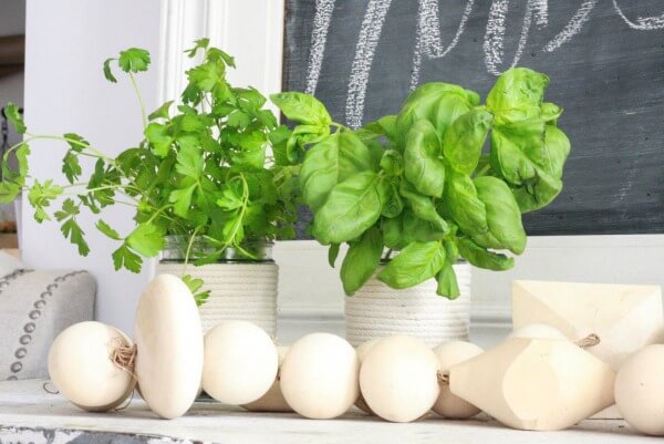 Looking for a really simple DIY project? Try these 10 minute DIY mason jar herb planters! Looking for a really simple DIY project? Try these 10 minute DIY mason jar herb planters!