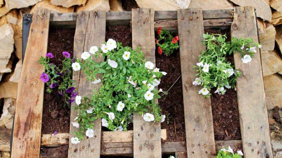 13 summer inspired outdoor planter ideas. Beautify your outdoor space with these awesome planter ideas. You have to see 8!