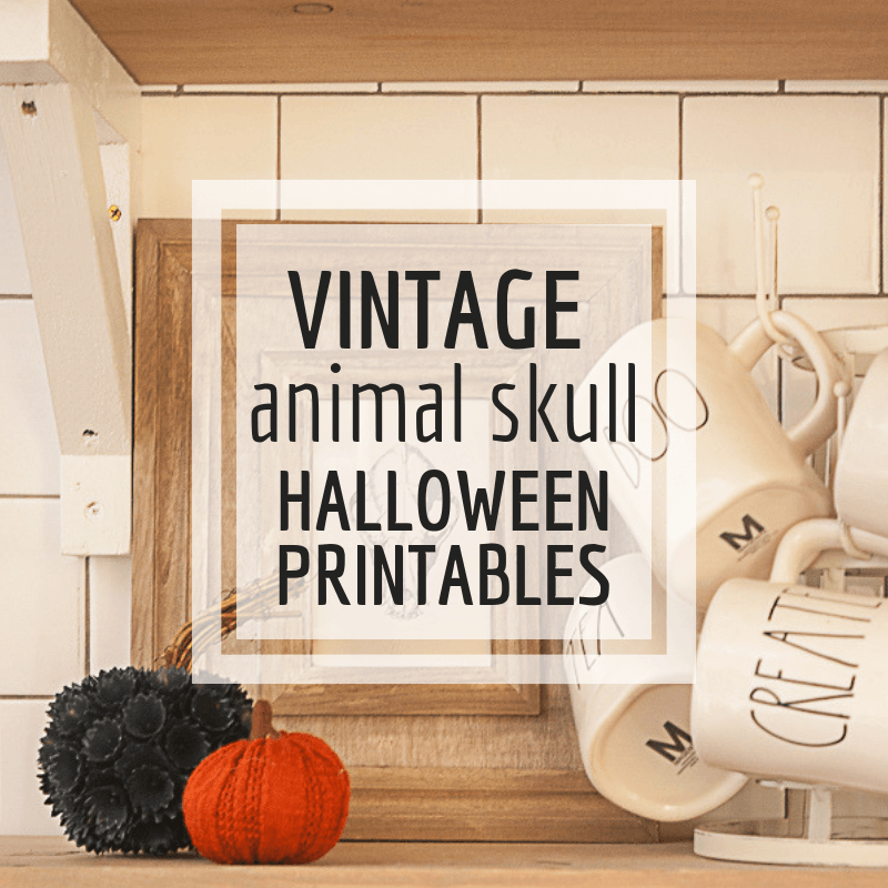 Free Vintage Animal Skull Halloween Printables Twelve On Main