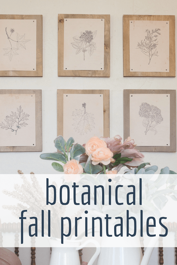 Set of Vintage Fall Printables for You Home! - Twelve On Main