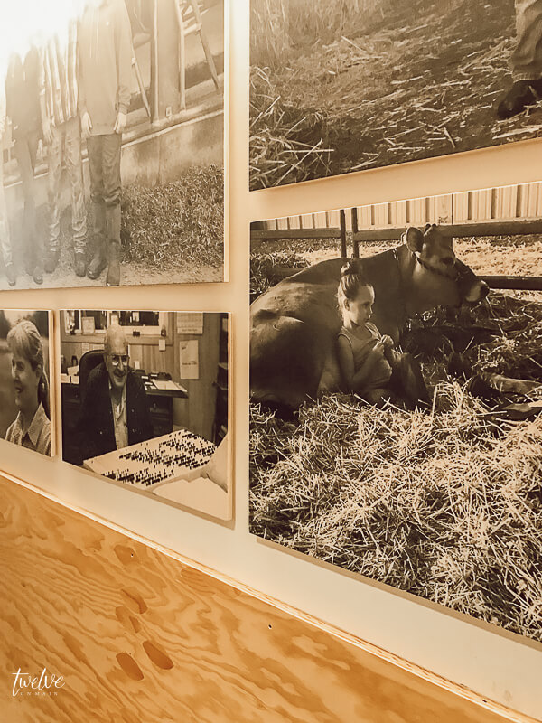 Vintage images at the Tillamook Cheese Factory