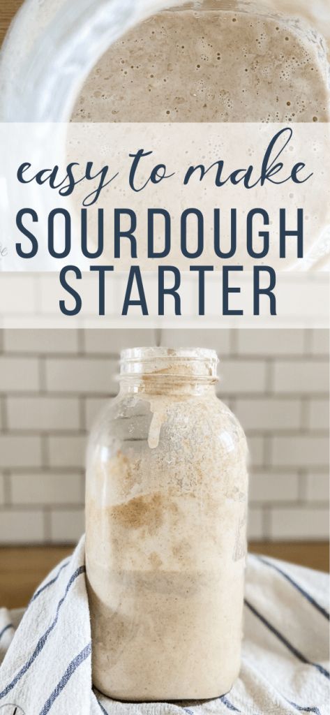 Everything You Need To Know About Sourdough And Sourdough Starters