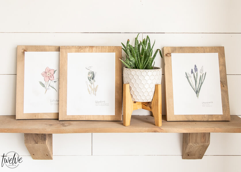Free Botanical Illustration Printables for Spring!