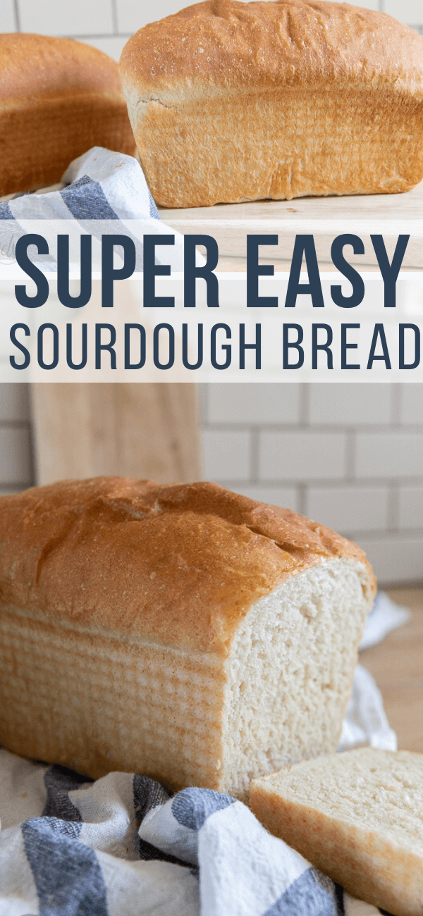 How To Make Easy Sourdough Sandwich Bread Twelve On Main