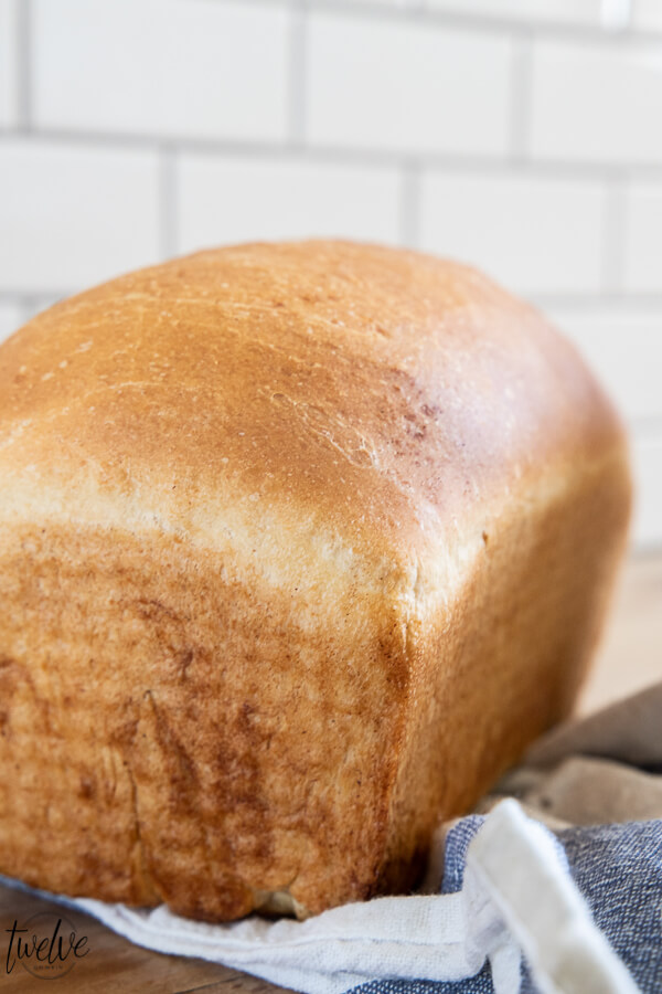 Yummy sourdough discard sandwich bread! This sourdough bread is so easy to make, delicious, and takes less time than traditional sourdough bread recipes. This sourdough discard bread makes the most amazing grilled cheese or grilled panini sandwiches, amazing toast or french toast, and of course, sandwiches! The flavor is amazing, you will want to eat the entire loaf, and it takes less than 2 hours!