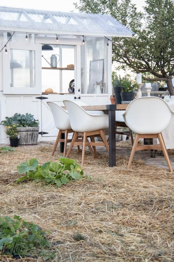 Learn how to start a garden with these helpful gardening tips! Become a pro, learn through experience and use these tips!