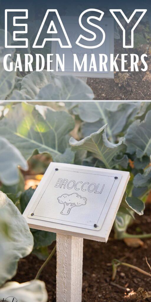 Easy DIY Garden Markers Using My Cricut Maker - Twelve On Main