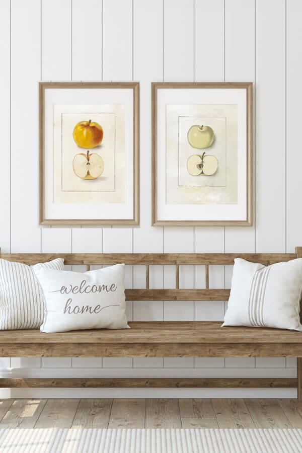 Get these great hand drawn fall printables for free! There are two apple illustrations, as well as one pumpkin illustration. These are similar to botanical illustrations with a fall flare and hand drawn style.