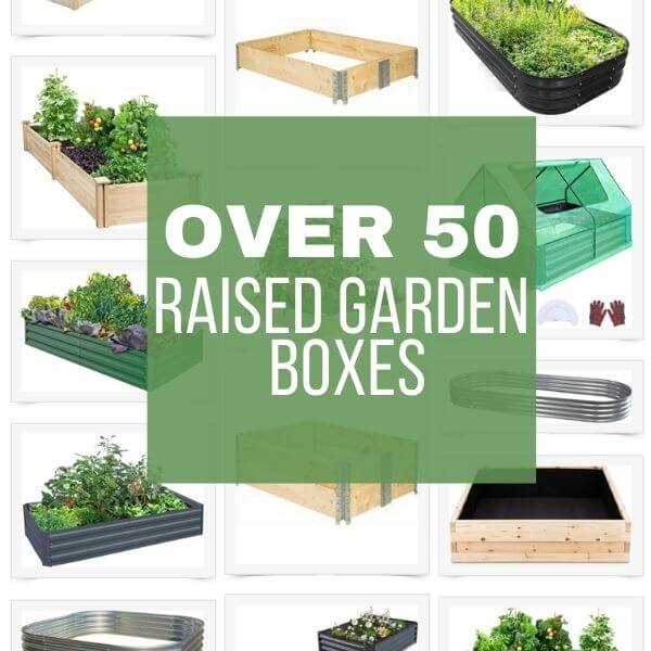 Want to start your own garden? This post has tons of gardening info including over 50 raised garden boxes perfect for your needs.