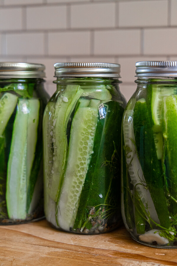 Make these easy refrigerator dill pickles any time of year! They are super easy to make and taste amazing! We love them any time of year.