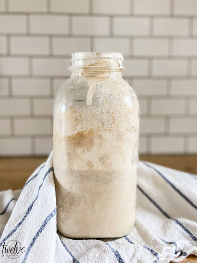 Sourdough Starter