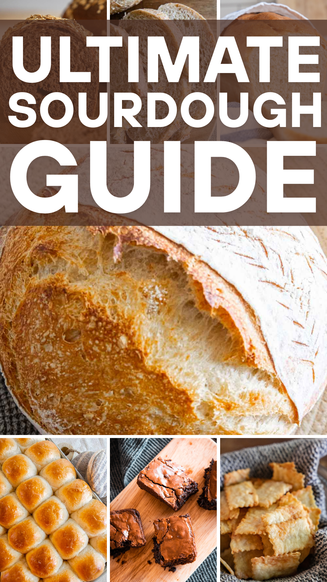 How to create, maintain, and troubleshoot your sourdough starter with this ultimate sourdough starter guide.
