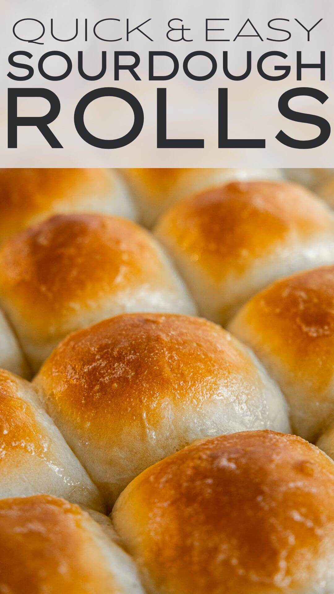 Make these easy soft sourdough dinner rolls on no time. They are soft and fluffy and only take 1-2 hours to make!