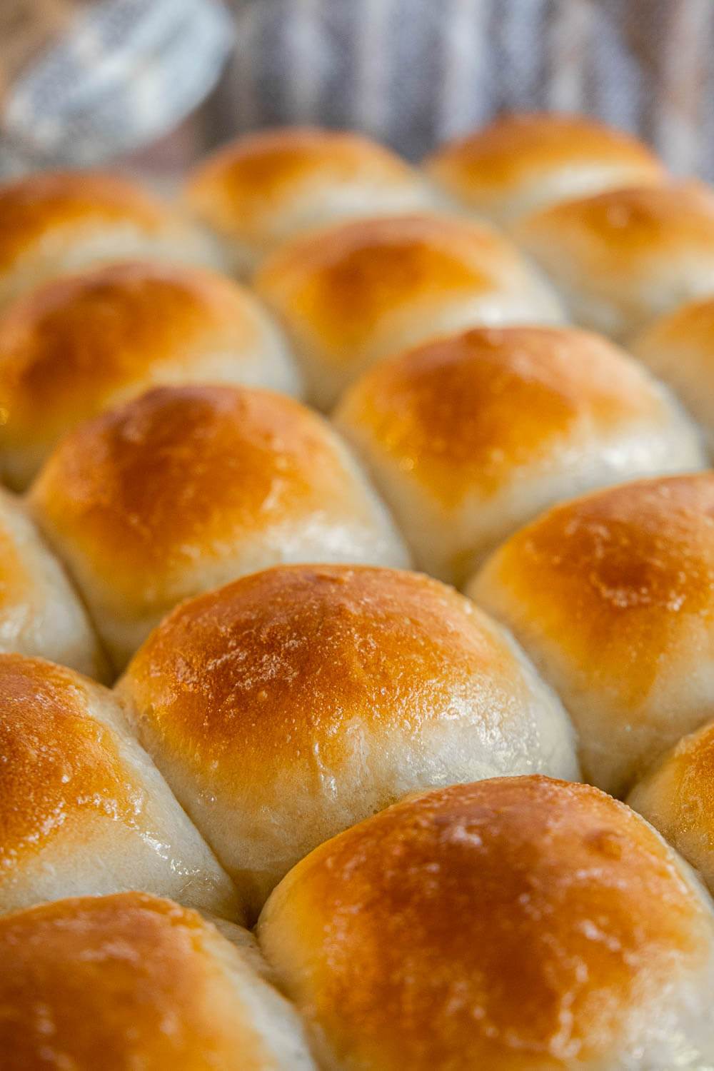 Easy Soft Sourdough Discard Dinner Rolls