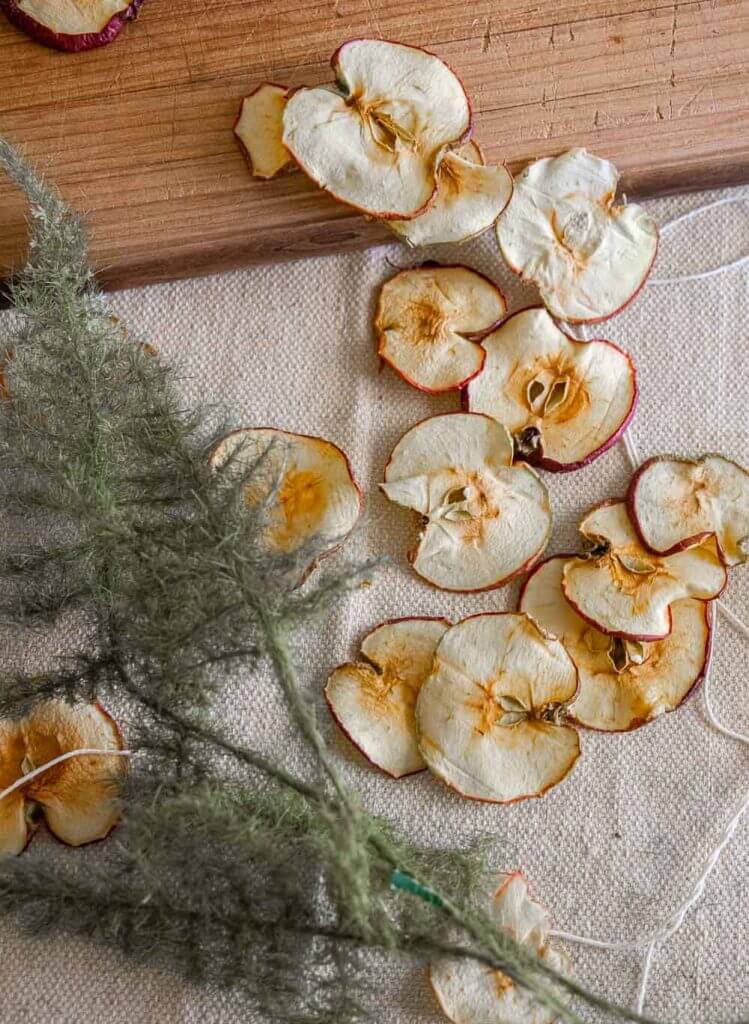 How to dry apple slices for decoration. Use them to make holiday garland, Christmas ornaments, a festive wreath and so much more!