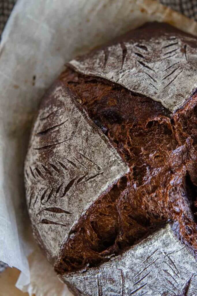 Make this amazing sourdough chocolate bread with step by step instructions. It tastes amazing and the perfect chocolate treat.