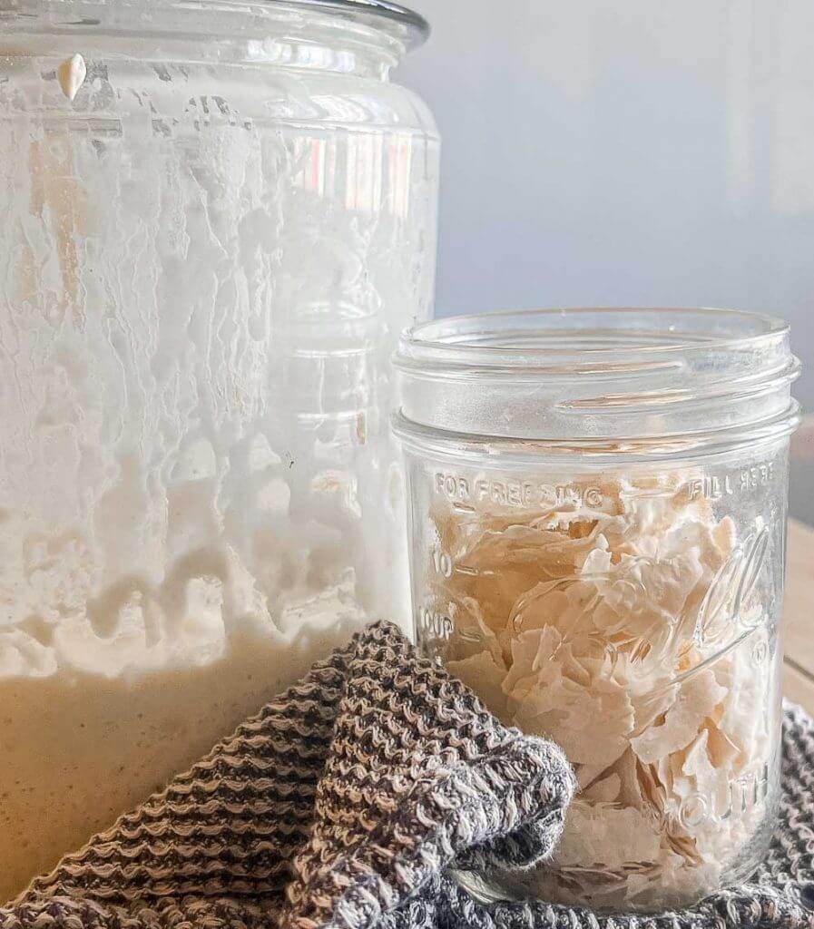 Learn how to store sourdough starter so that you can use it in the future. I have 4 ways to store your starter long term and preserve it.