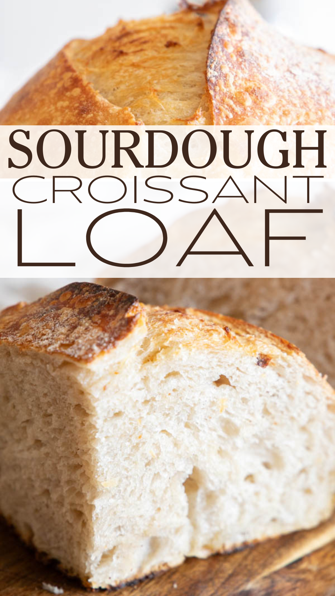 This amazing sourdough croissant loaf is the perfect combination of rustic sourdough bread, and refined delicate details. This bread has a soft, flakey texture, buttery flavor to accompany the delicate sourdough taste. It is an amazing take on the traditional sourdough bread!