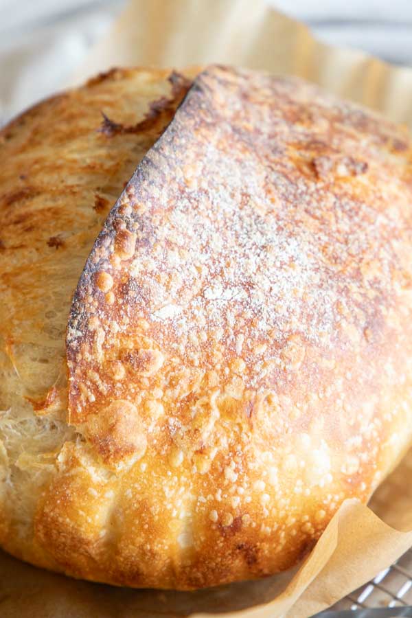 This amazing sourdough croissant loaf is the perfect combination of rustic sourdough bread, and refined delicate details. This bread has a soft, flakey texture, buttery flavor to accompany the delicate sourdough taste. It is an amazing take on the traditional sourdough bread!
