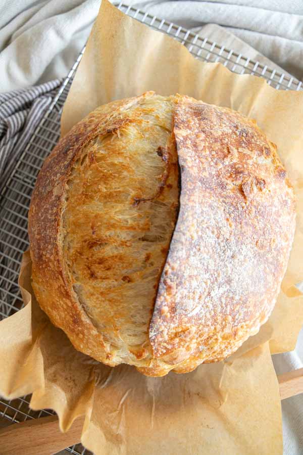 This amazing sourdough croissant loaf is the perfect combination of rustic sourdough bread, and refined delicate details. This bread has a soft, flakey texture, buttery flavor to accompany the delicate sourdough taste. It is an amazing take on the traditional sourdough bread!