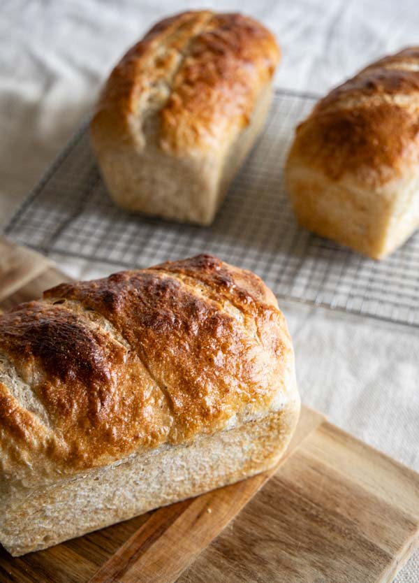 Make this amazing soft multigrain sourdough sandwich bread. With whole grains included in the bread it is more hearty and flavorful.