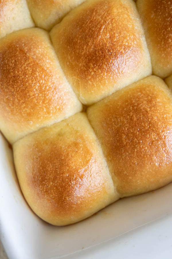Sourdough brioche rolls are buttery, soft and so flavorful. Make them for your next weeknight dinner with soup, pastas and more.